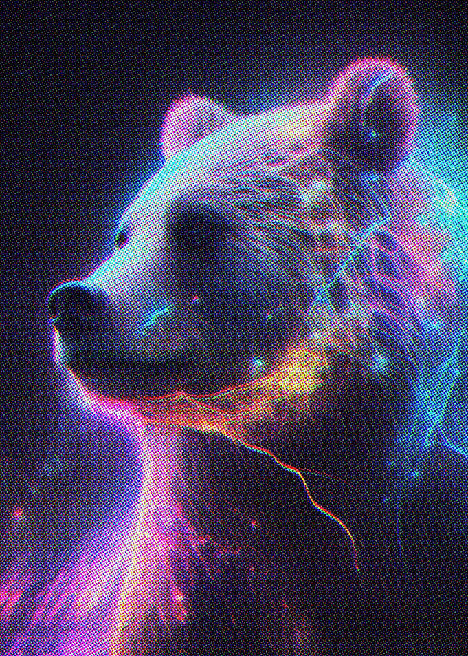 Bear Colorful