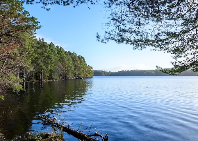 Morning Lake