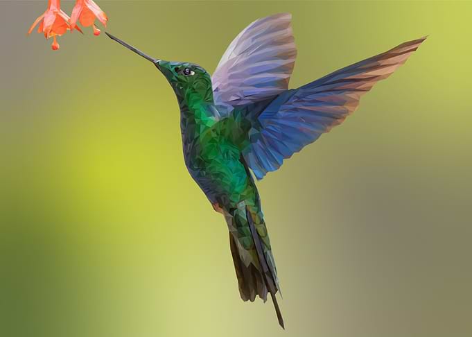 An Iridescent Hum