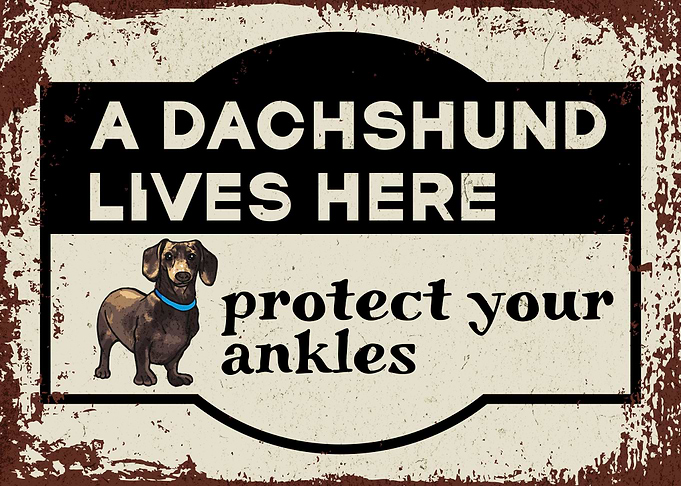 Retro Dachshund Warning 4