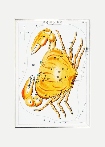 Zodiac sign Cancer
