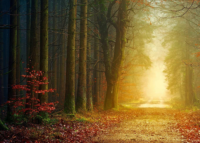Magical Path