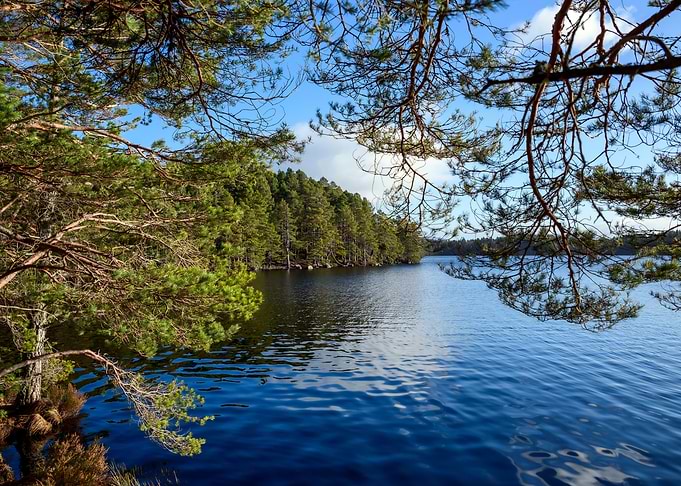 Lake Landscape