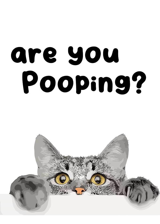 Are You Pooping