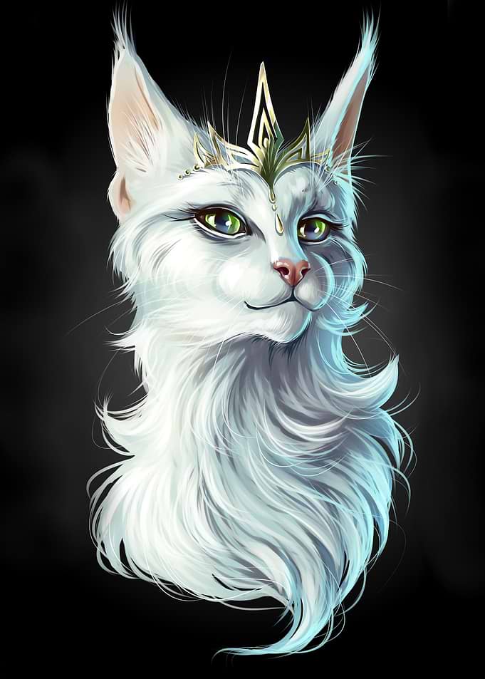 Queen Cat