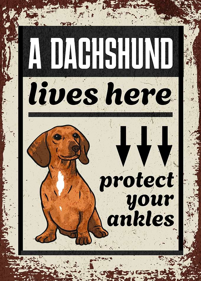 Retro Dachshund Warning 5