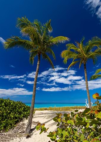 Exotic beach in Cuba