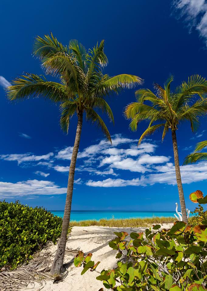 Exotic beach in Cuba