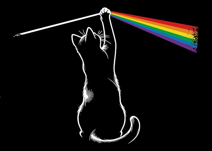 Funny Cat Rock Music Gift