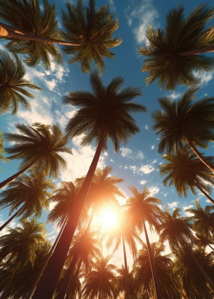 Under Palm Trees