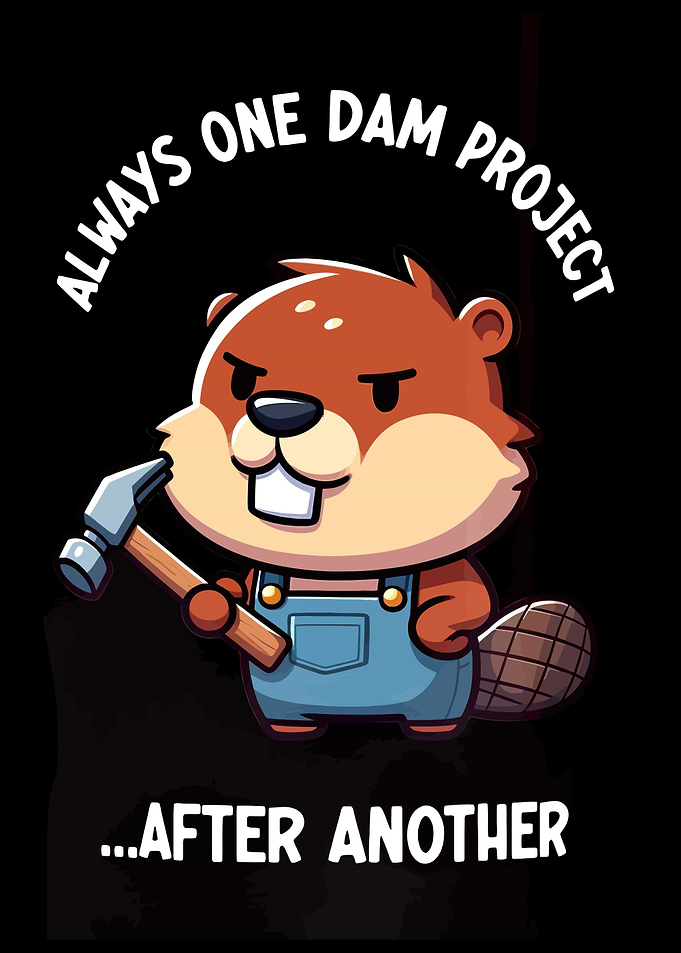 Its Just One Dam Project