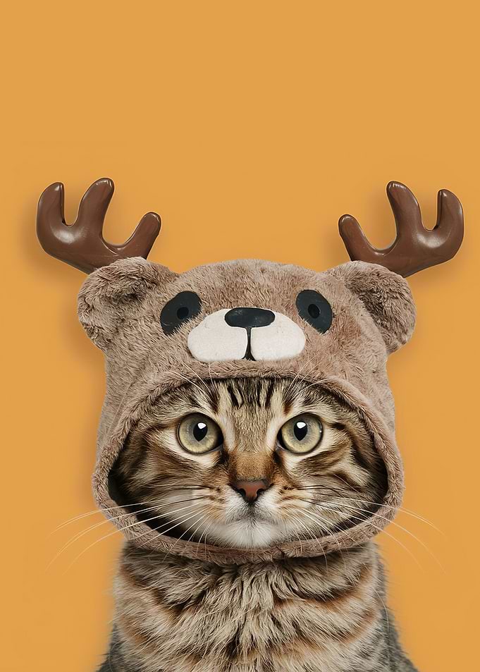 cat with den
