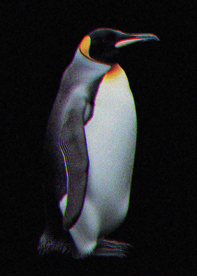 Penguin Portrait