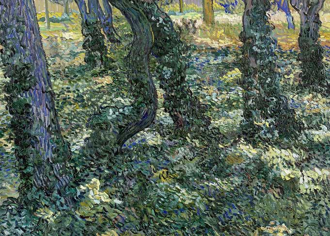 Undergrowth