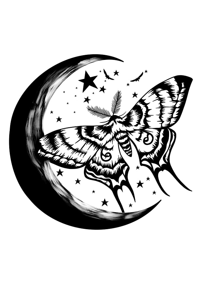 Chinese moon Moth