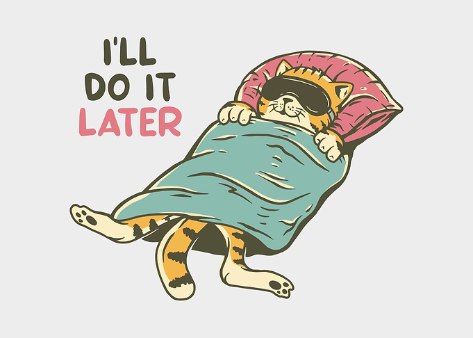 Sleeping Cat