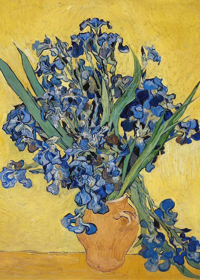 Irises