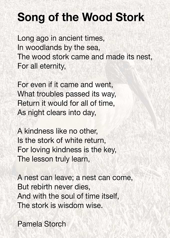 The Wood Stork Poem
