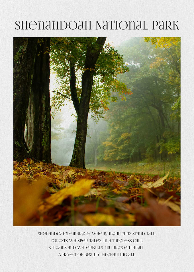 Shenandoah National Park