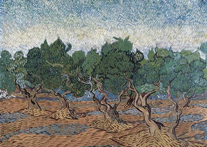 Olive Grove