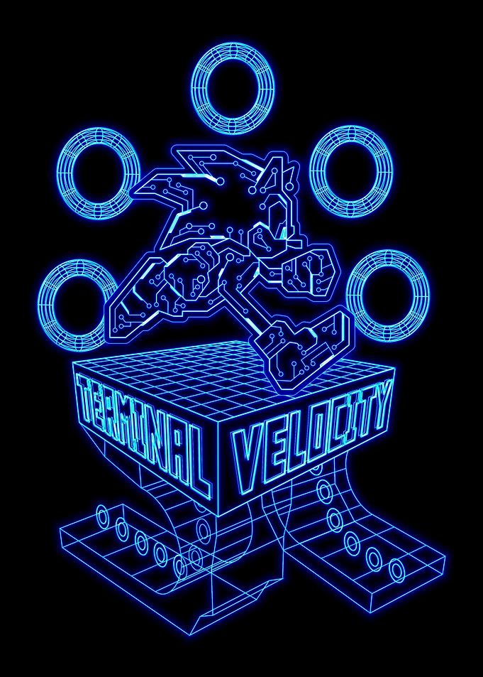 Terminal Velocity