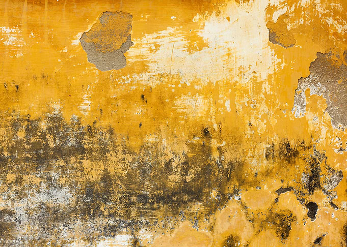 Old Yellow Wall