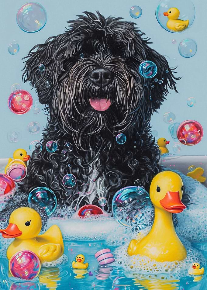 A Bouvier Des Flandres dog