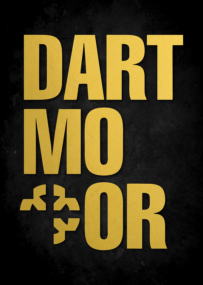 DARTMOOR BIKE