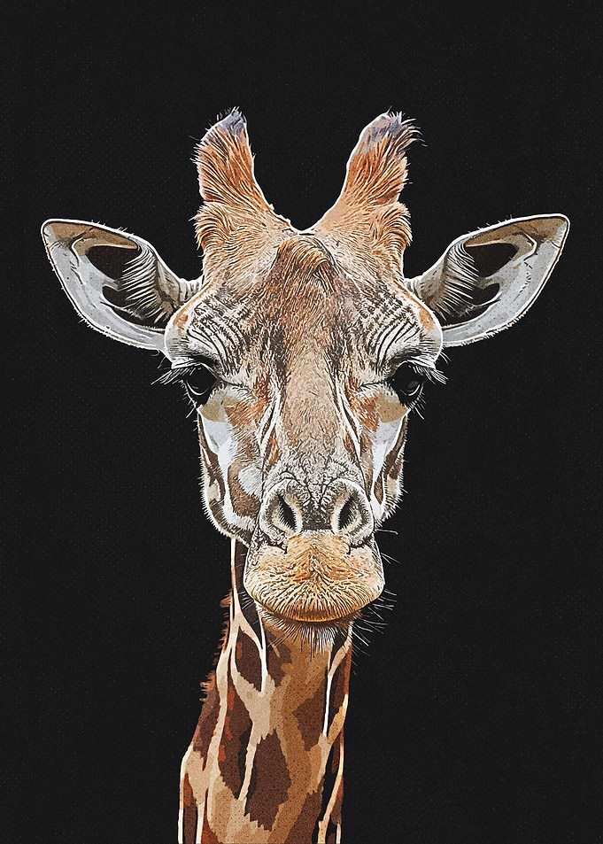 Vintage Giraffe