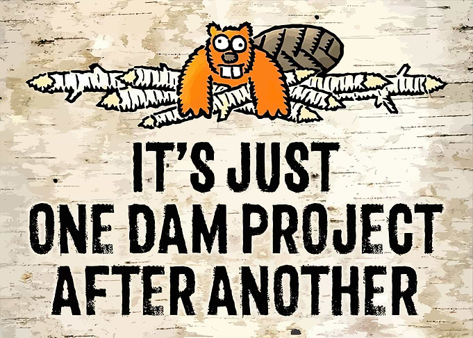Its Just One Dam Project