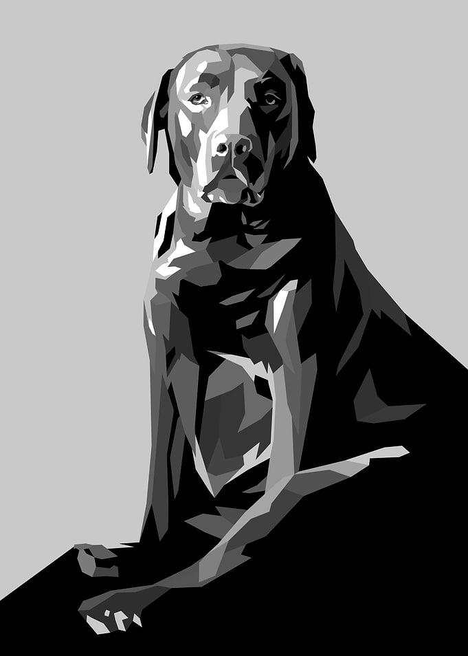 Dog Pop Art
