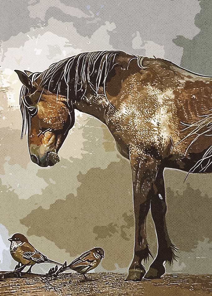 Horse Vintage
