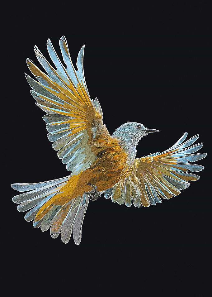 Beautiful White Birds