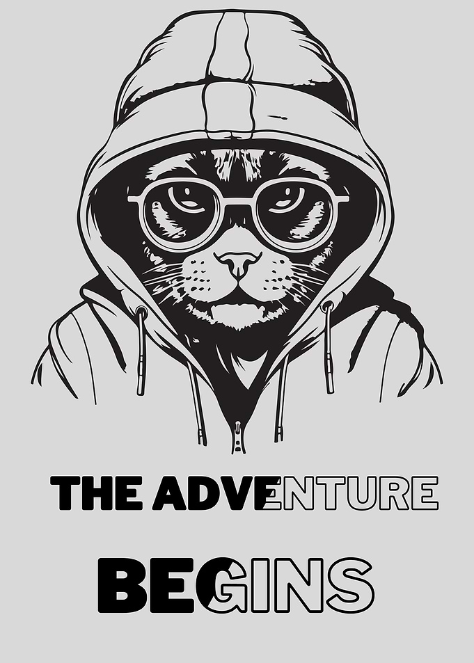 Feline Explorer First Qu