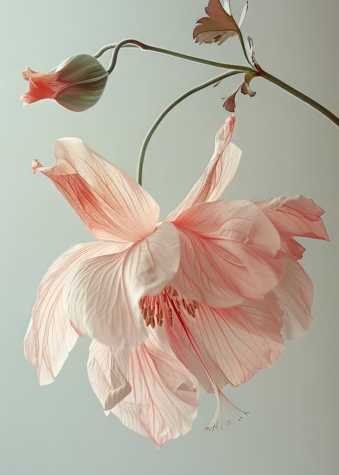 Pink flower hanging