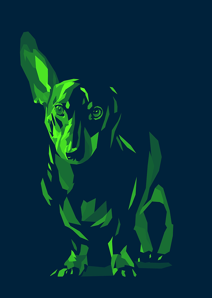 Dog Pop Art
