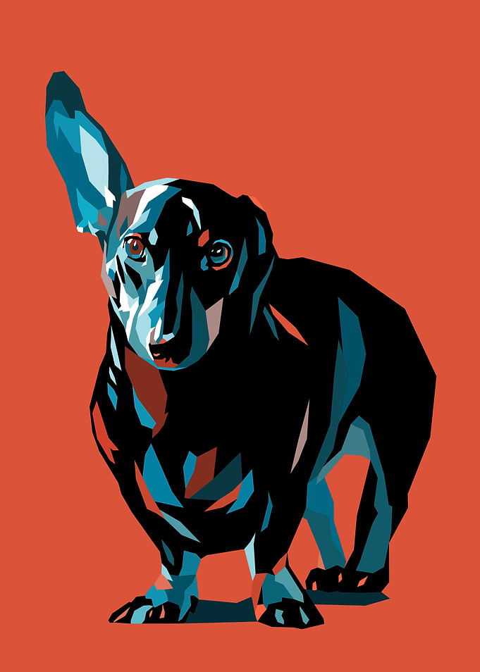 Dog Pop Art