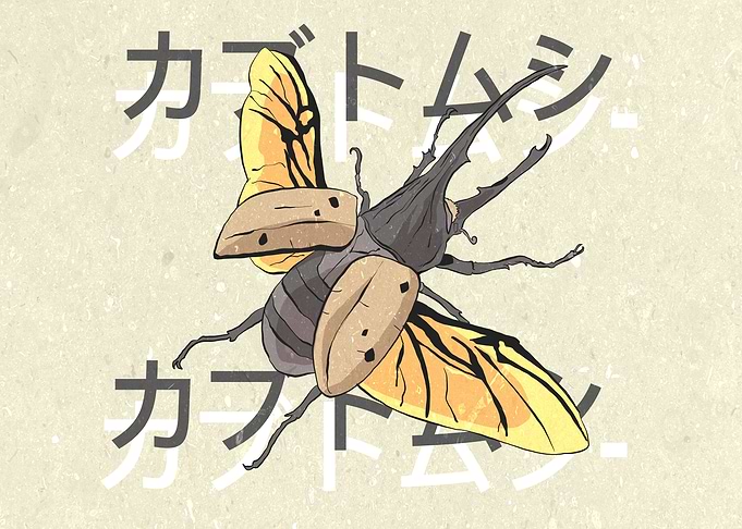 Japanese rhinoceros beetle