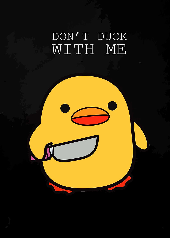 Dont Duck With Me