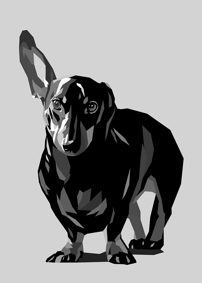 Dog Pop Art