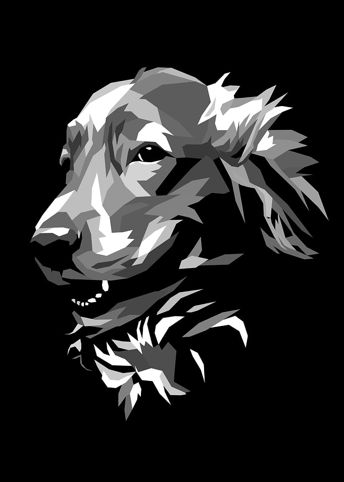 Dog Pop Art