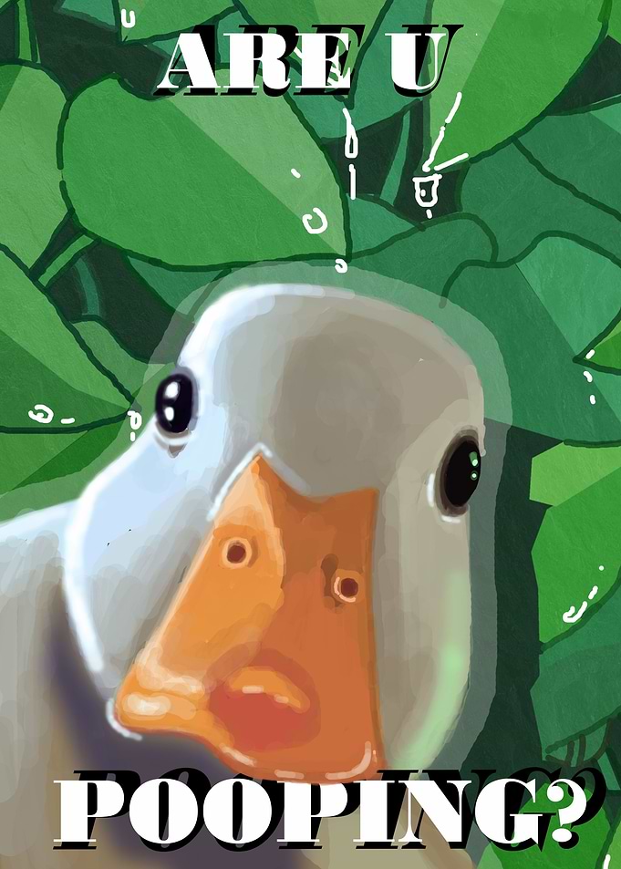 are u pooping duck