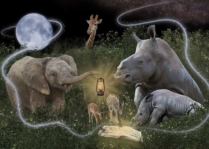 Wildlife Storytime