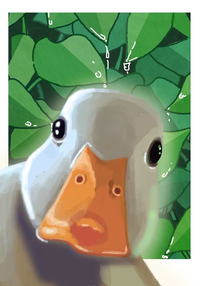 aesthetic cute duck