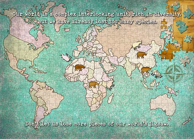 Rhino world Map