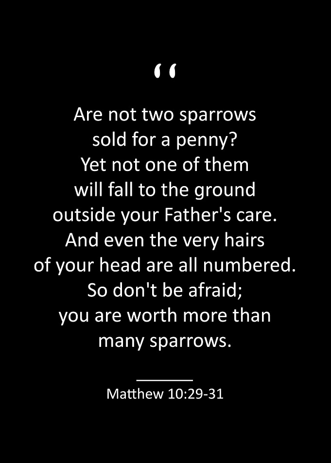 Matthew 10 29 31