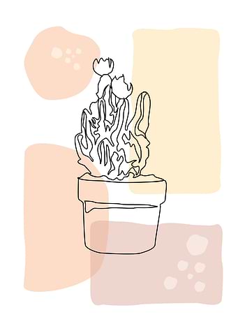 Cactus 2