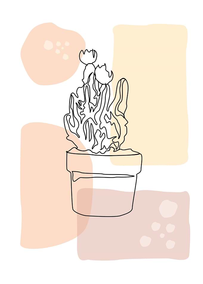 Cactus 2