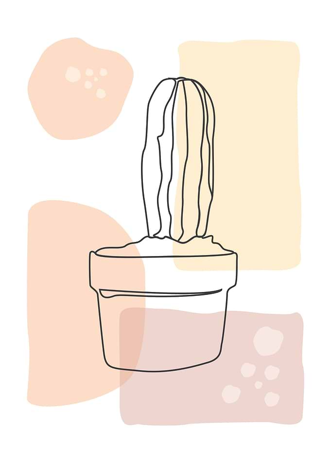 Cactus 1