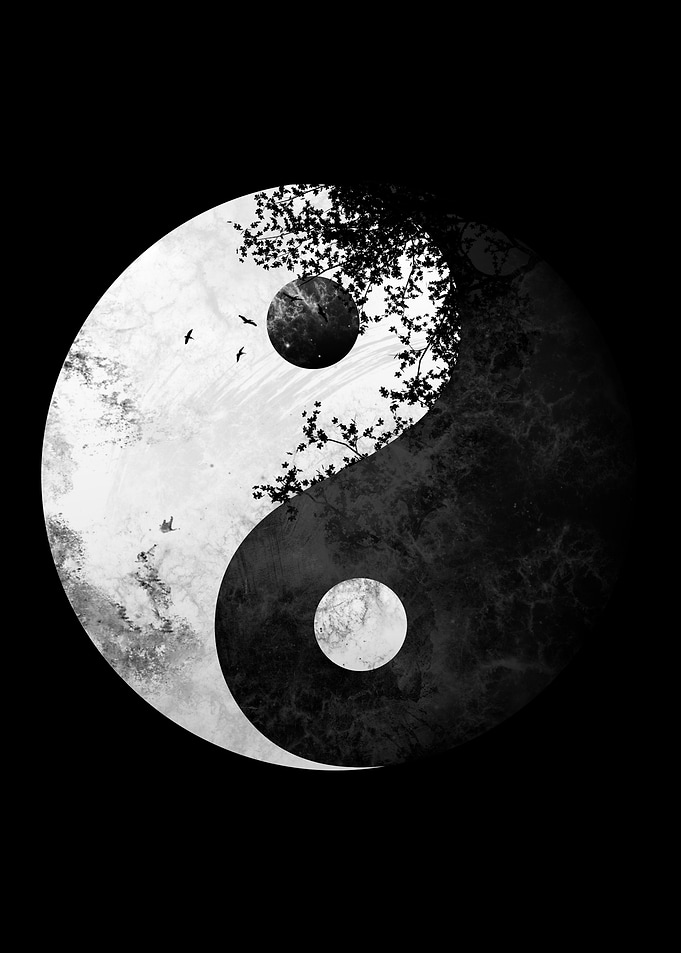 Japanese Yin Yang